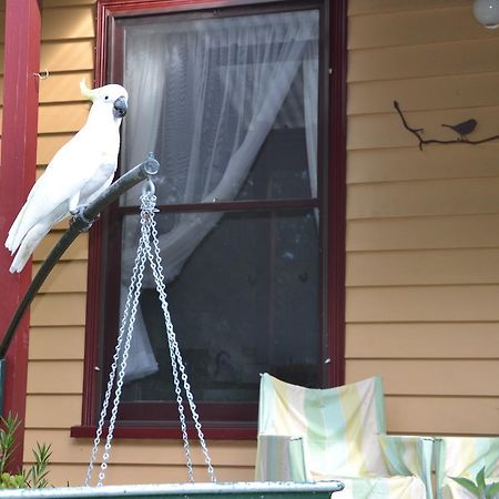 Lemonade Creek Cottages Lorne Luaran gambar