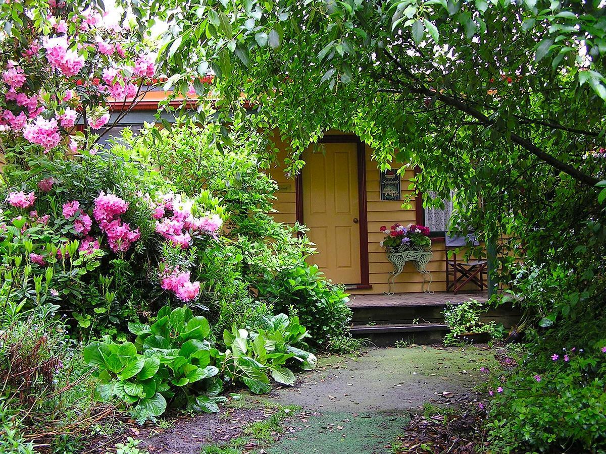 Lemonade Creek Cottages Lorne Luaran gambar