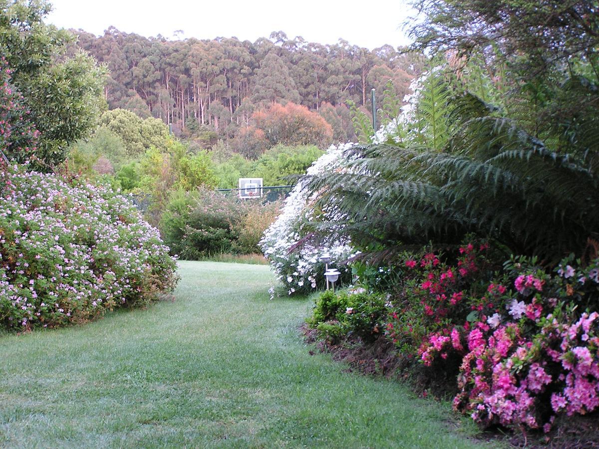 Lemonade Creek Cottages Lorne Luaran gambar