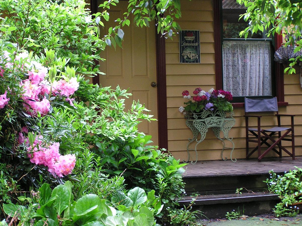 Lemonade Creek Cottages Lorne Luaran gambar