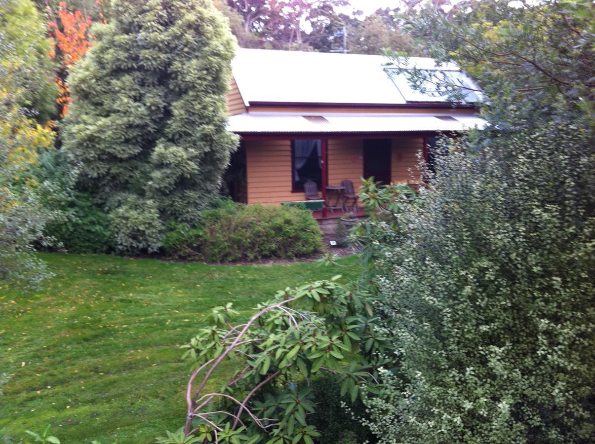 Lemonade Creek Cottages Lorne Luaran gambar