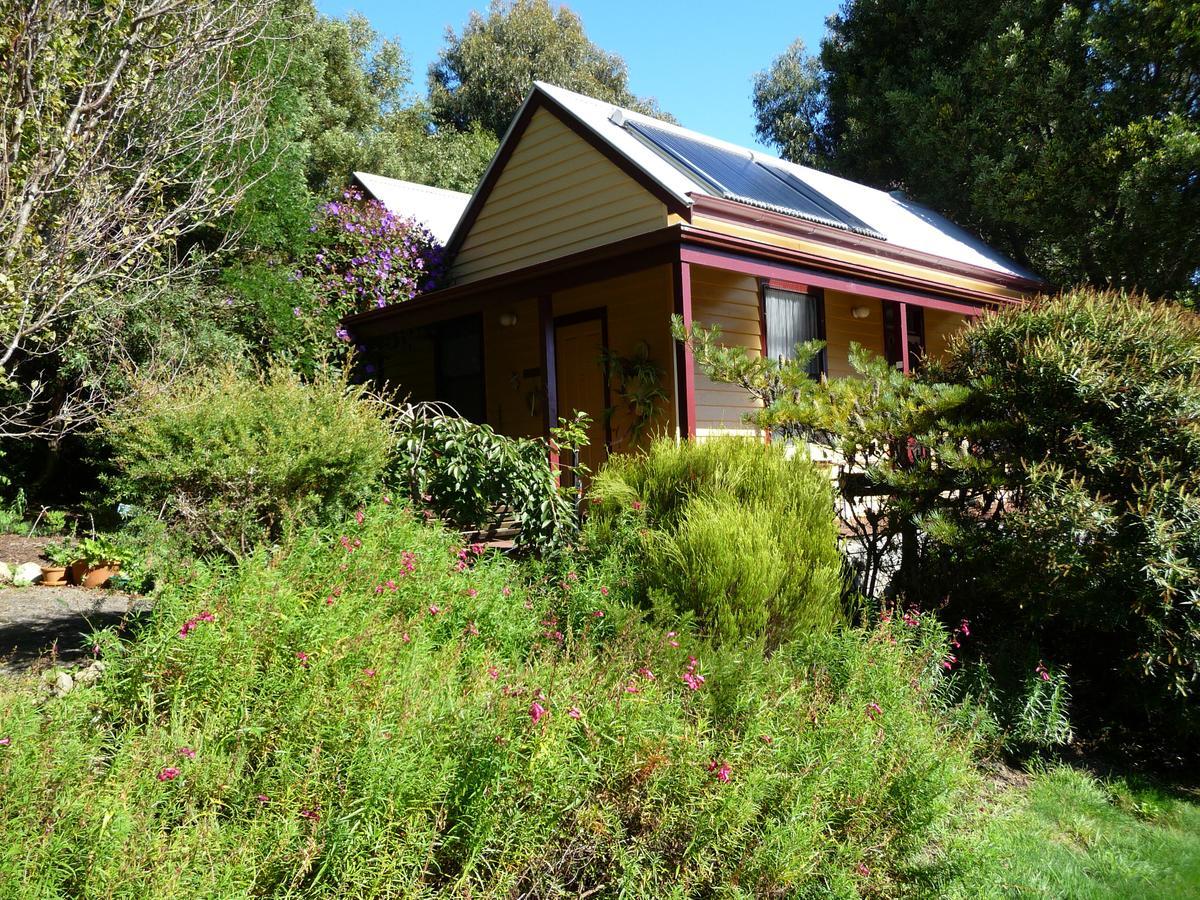 Lemonade Creek Cottages Lorne Luaran gambar