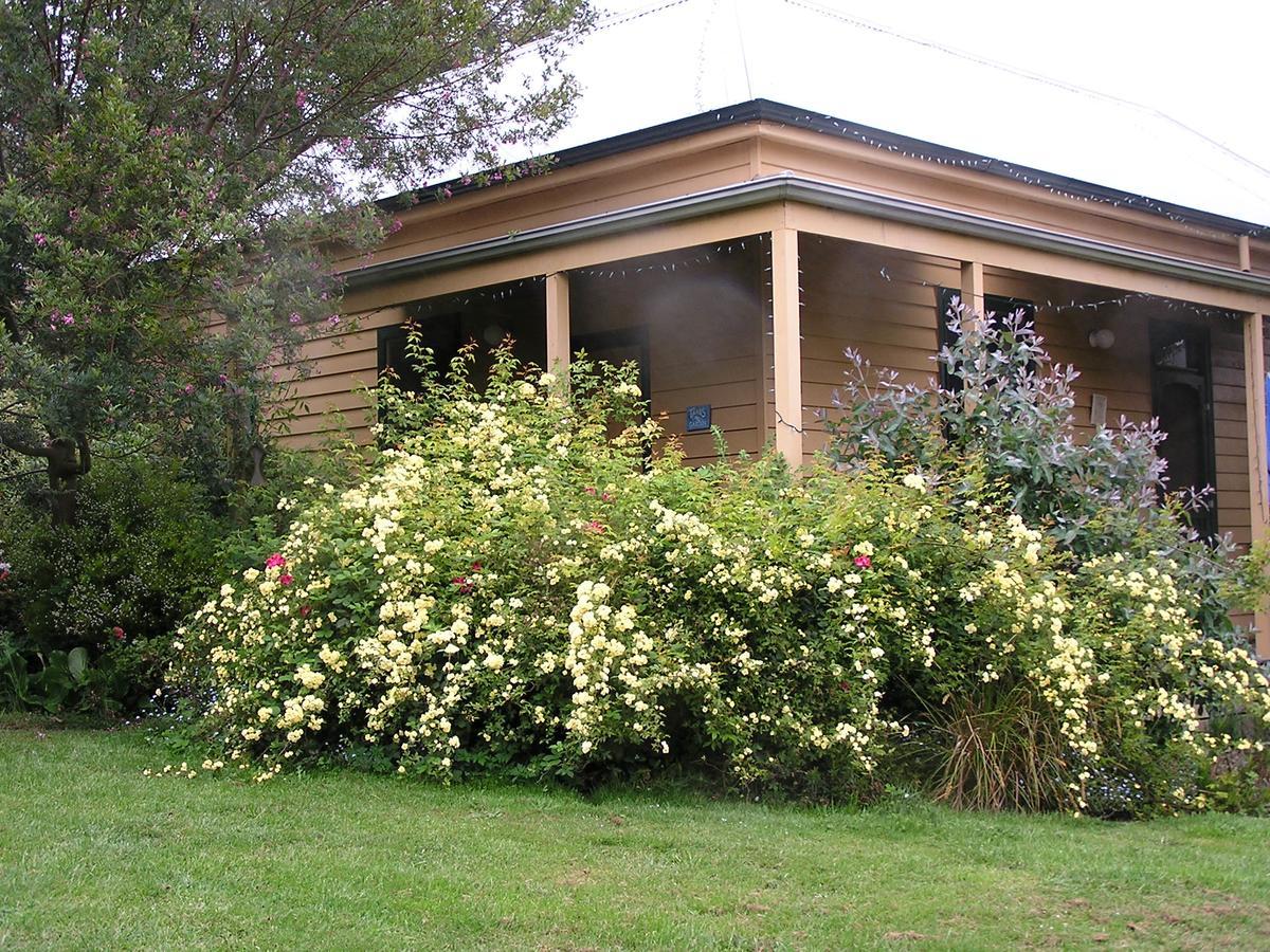 Lemonade Creek Cottages Lorne Luaran gambar