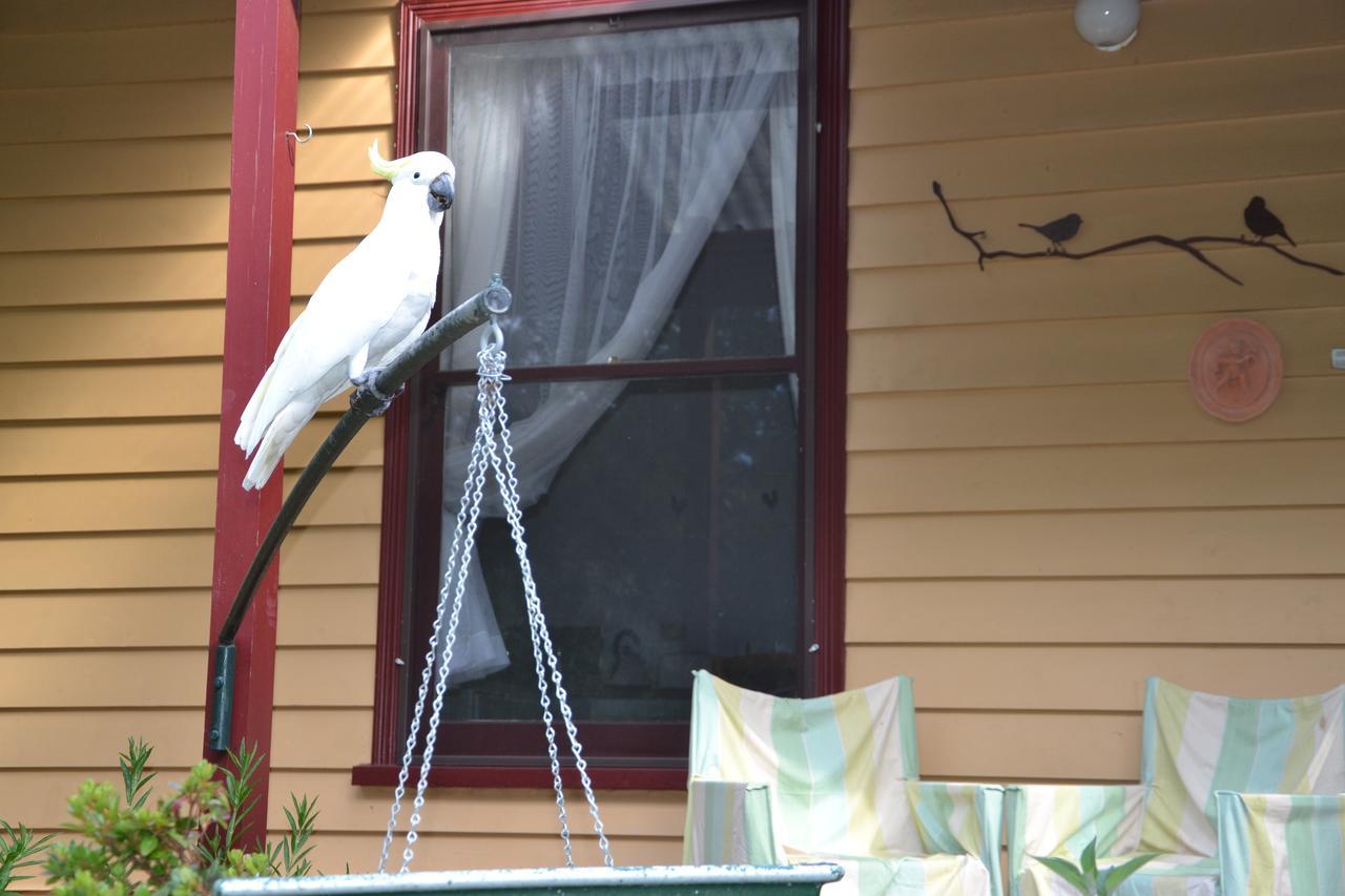Lemonade Creek Cottages Lorne Luaran gambar