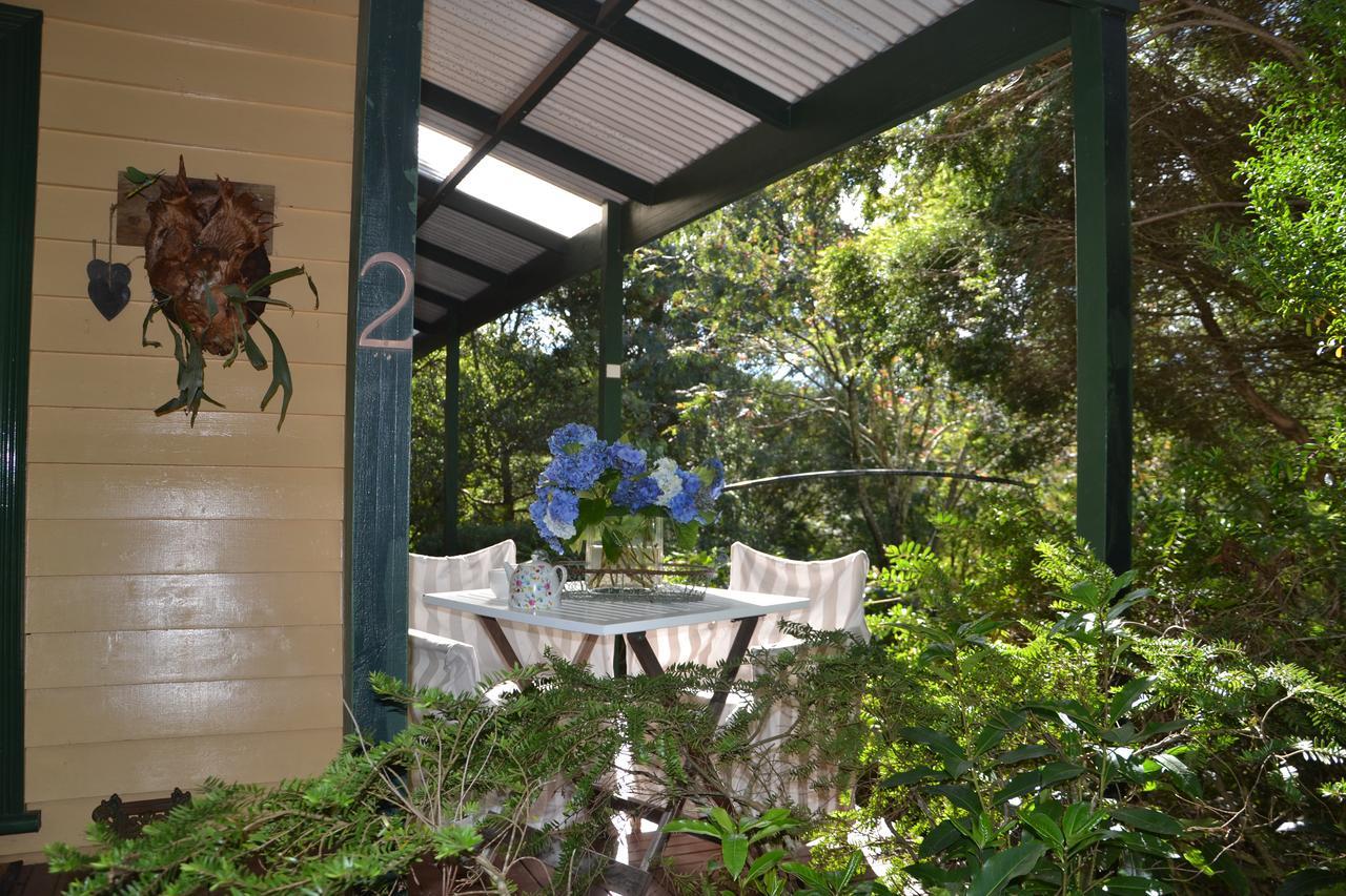 Lemonade Creek Cottages Lorne Luaran gambar