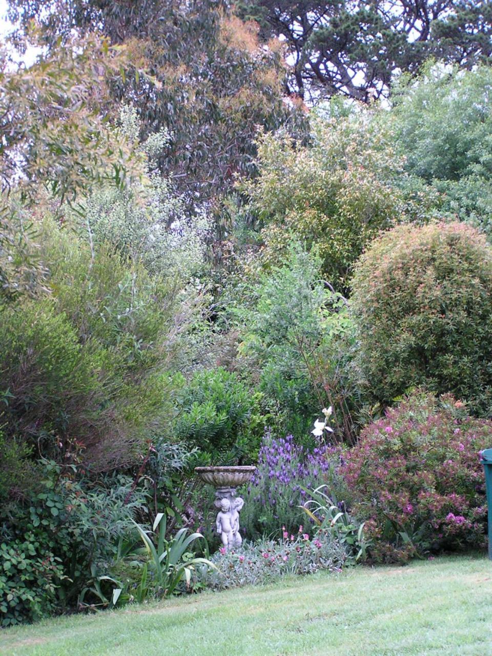 Lemonade Creek Cottages Lorne Luaran gambar