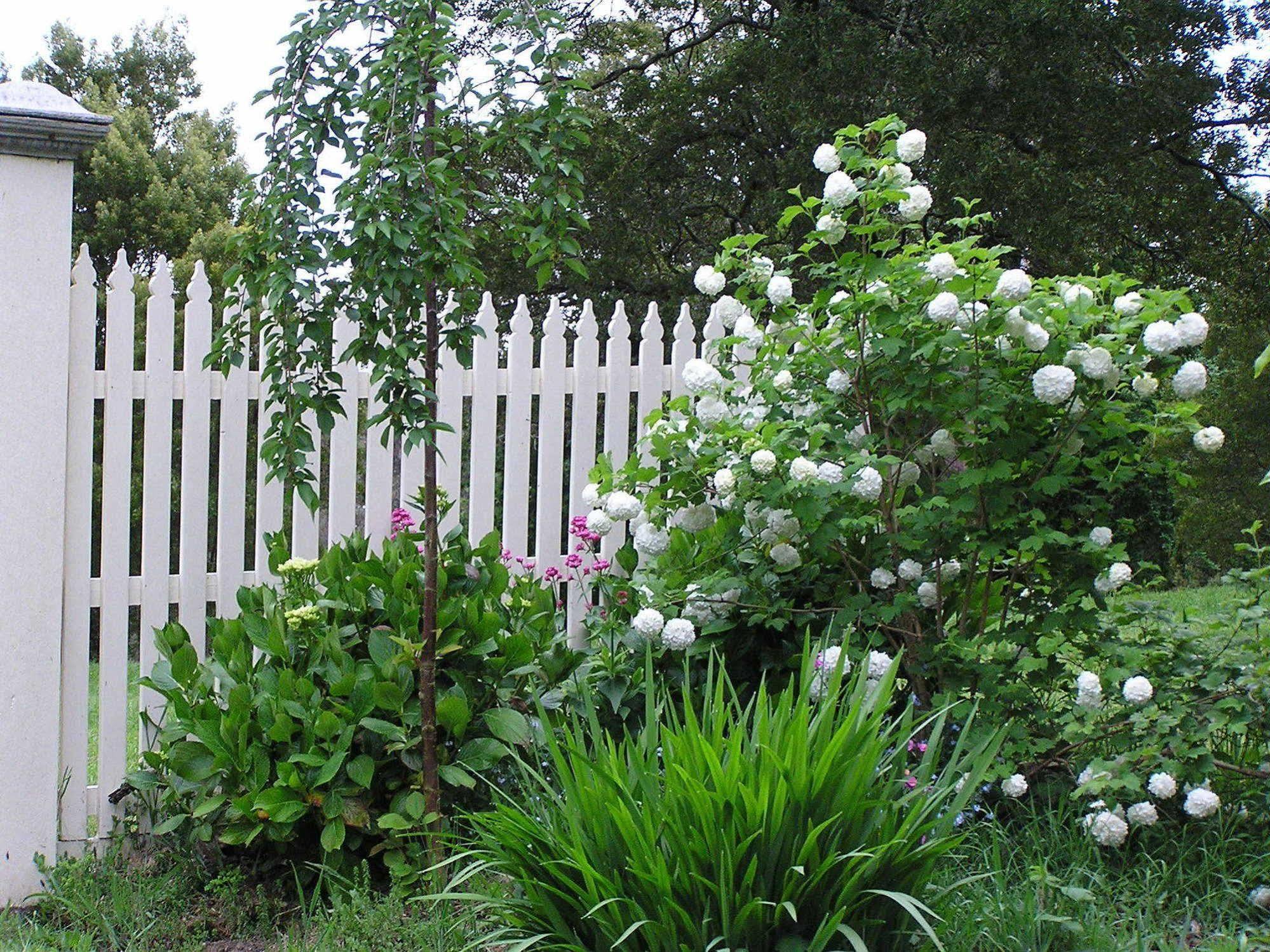 Lemonade Creek Cottages Lorne Luaran gambar