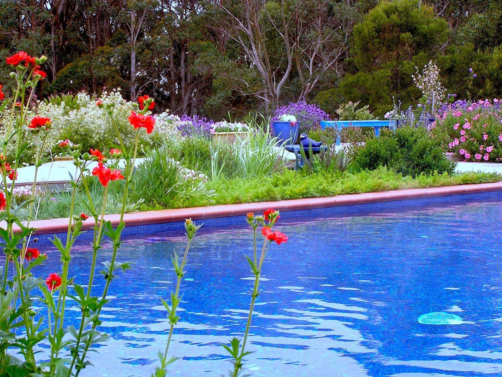 Lemonade Creek Cottages Lorne Luaran gambar