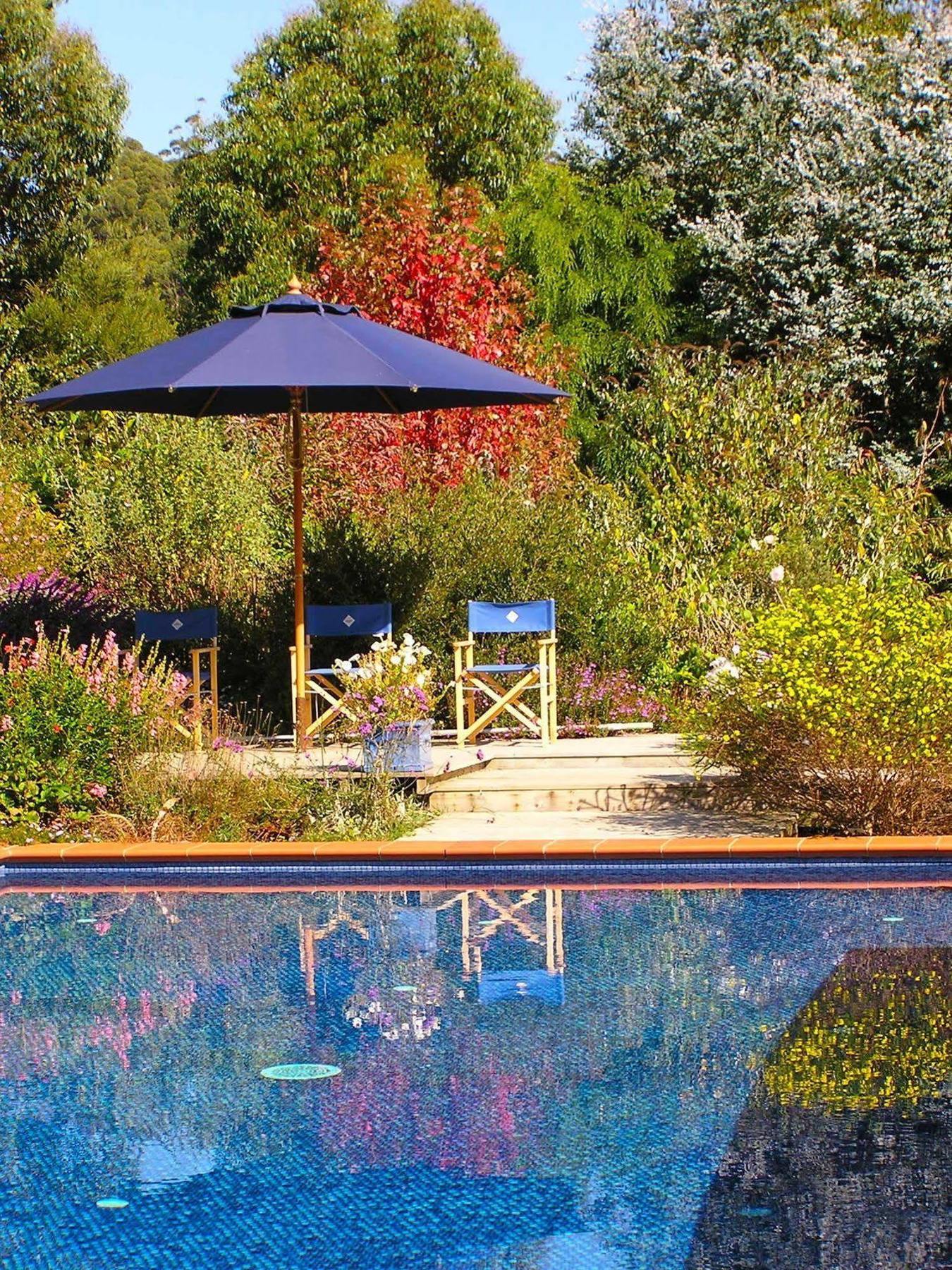 Lemonade Creek Cottages Lorne Luaran gambar