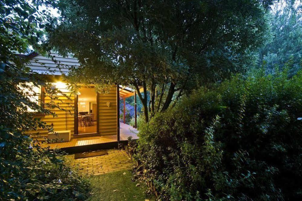 Lemonade Creek Cottages Lorne Luaran gambar