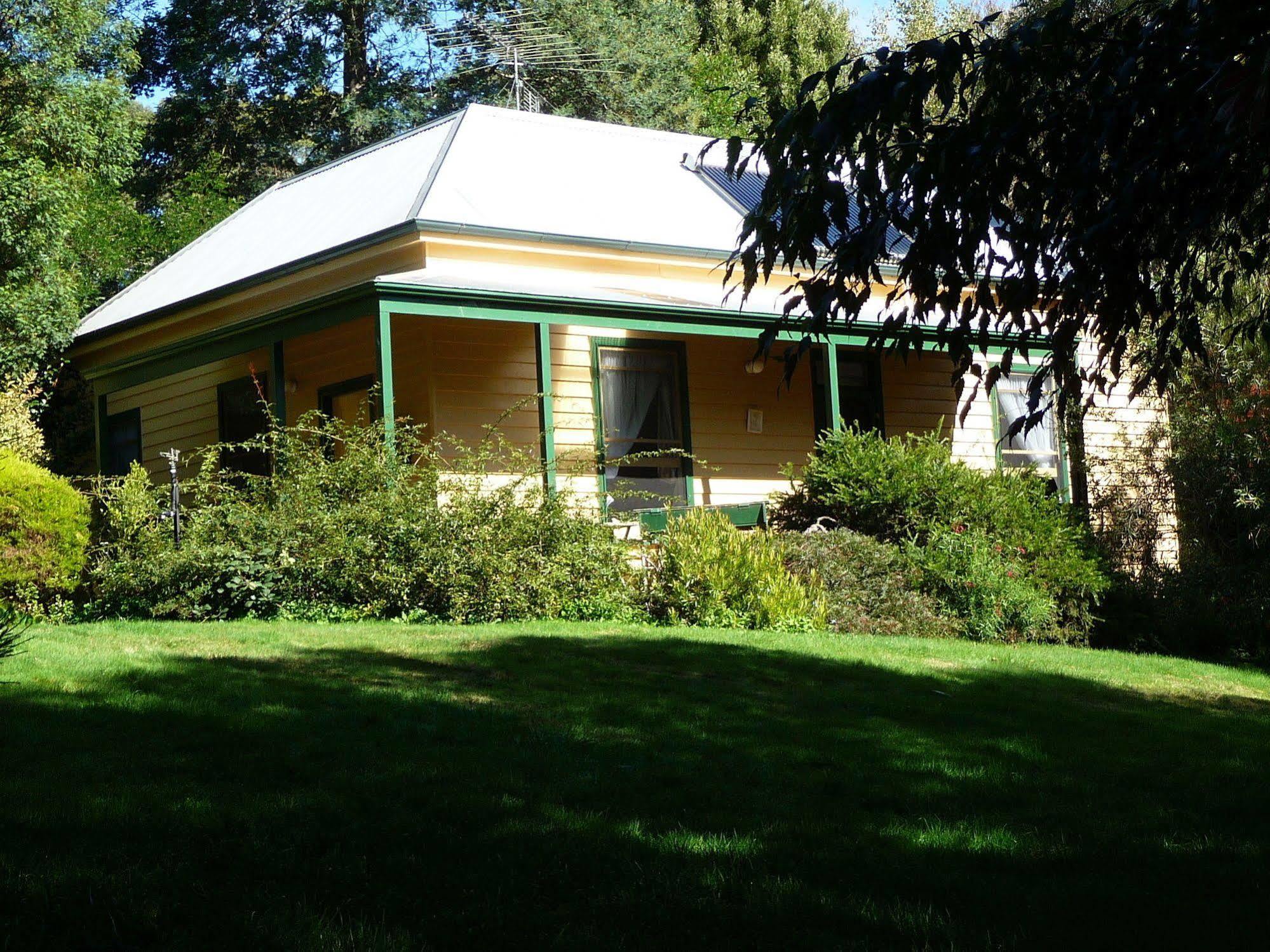 Lemonade Creek Cottages Lorne Luaran gambar