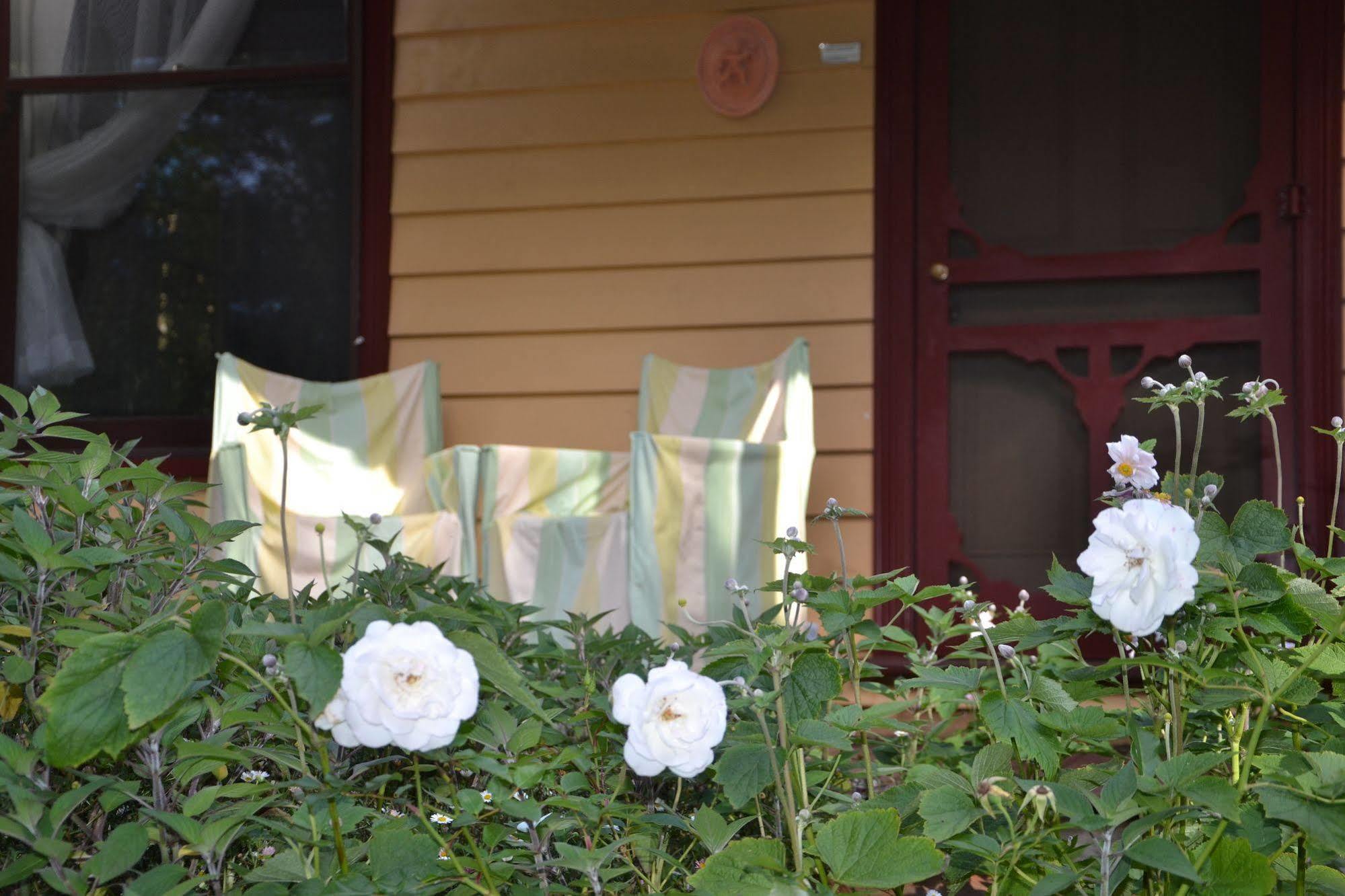 Lemonade Creek Cottages Lorne Luaran gambar