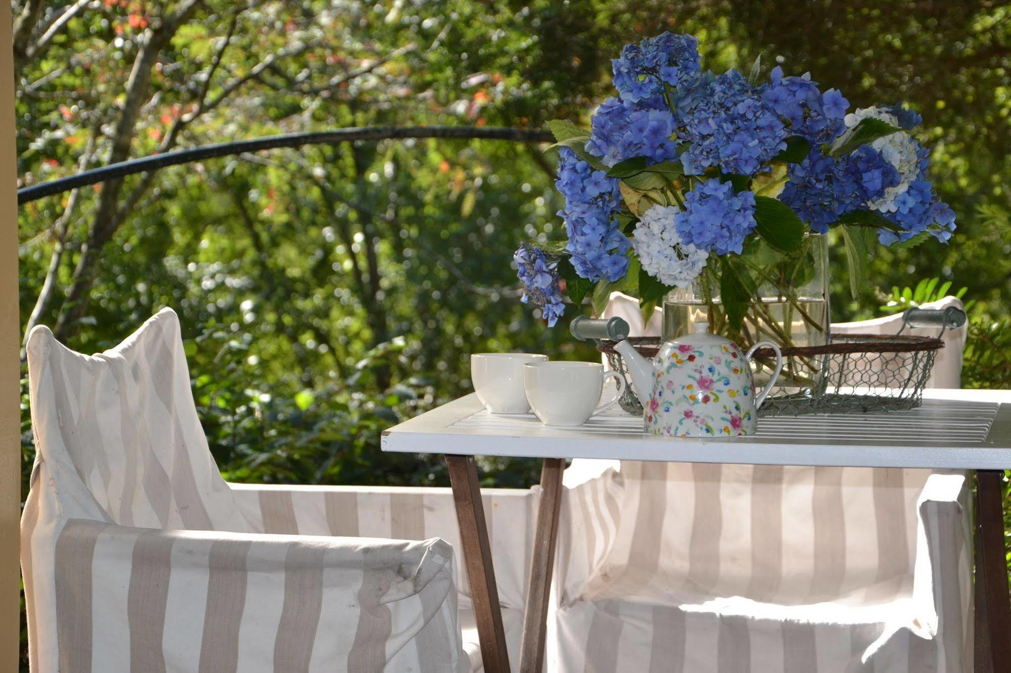 Lemonade Creek Cottages Lorne Luaran gambar